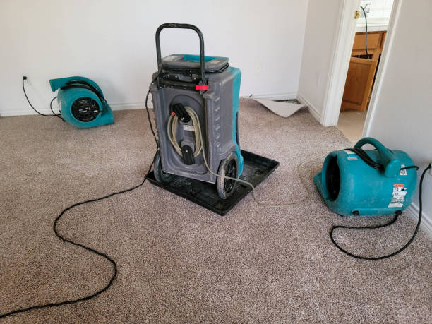 Best Ceiling water damage repair  in Savannah, MO