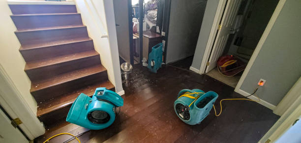 Best Flood restoration services  in Savannah, MO