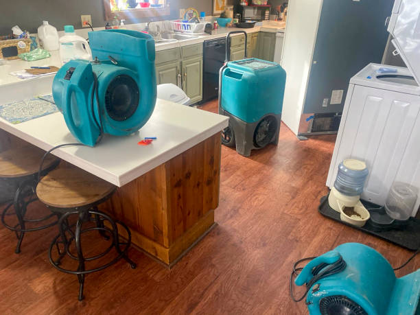 Best Professional water damage repair  in Savannah, MO