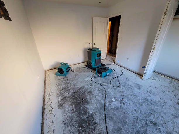 Best Professional water damage repair  in Savannah, MO