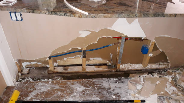 Best Mold removal after water damage  in Savannah, MO