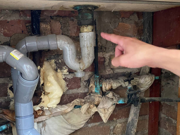 Best Flooded house restoration  in Savannah, MO