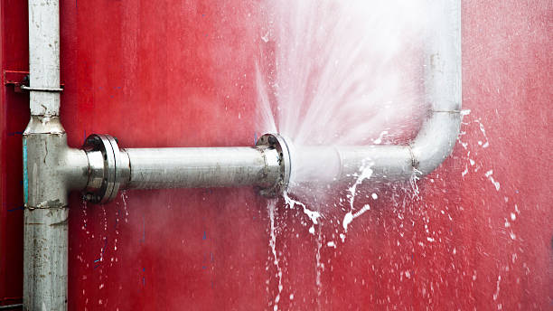 Best 24-hour water damage restoration  in Savannah, MO